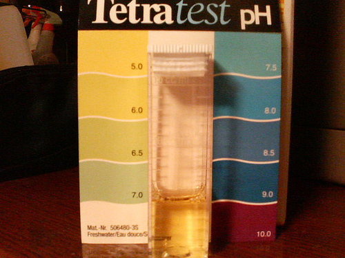 Plik:Tetra test pH-2631.jpg