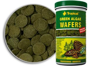 Green-algae-wafers.jpg